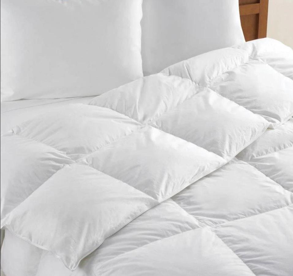 SayfuR Couette Plume Doie Couette Hiver 2 Personnes, Couette en Plumes Et  Duvet d'oie, Chaude 4 Saisons Couette, Couette Plus Velvet Core Quilt