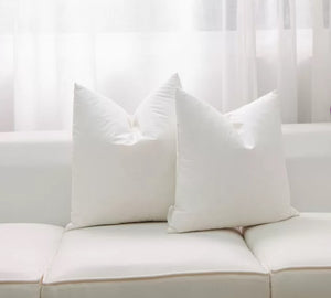 Down Filled Cushion