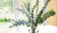  BOUGIES DE SOJA<br>Fabriqué à Montréal